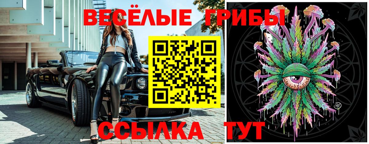 Галлюциногенные грибы GOLDEN TEACHER  Вход с VPN  Томск 