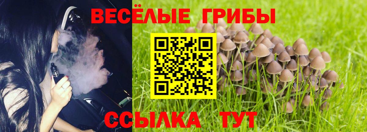 Псилоцибиновые грибы мицелий Томск